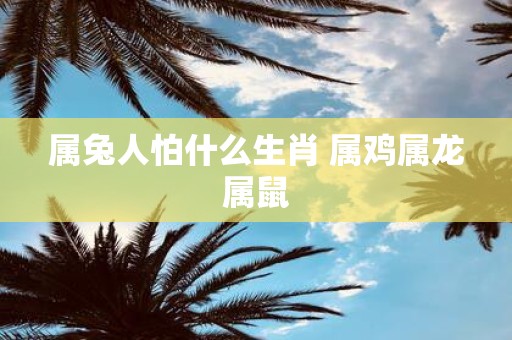 属兔人怕什么生肖 属鸡属龙属鼠