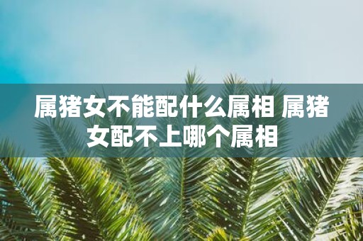 属猪女不能配什么属相 属猪女配不上哪个属相