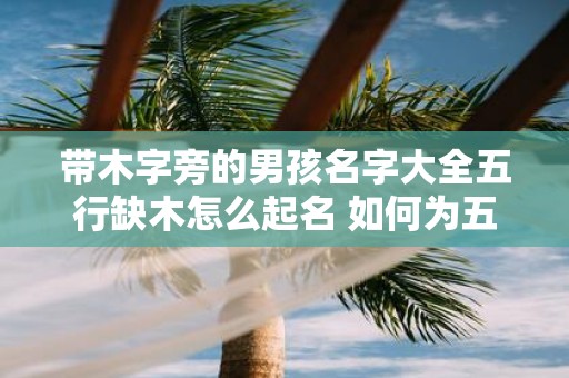 带木字旁的男孩名字大全五行缺木怎么起名 如何为五行缺木的男孩起名