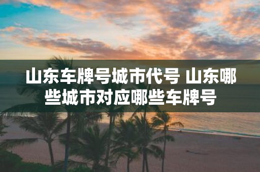 山东车牌号城市代号 山东哪些城市对应哪些车牌号
