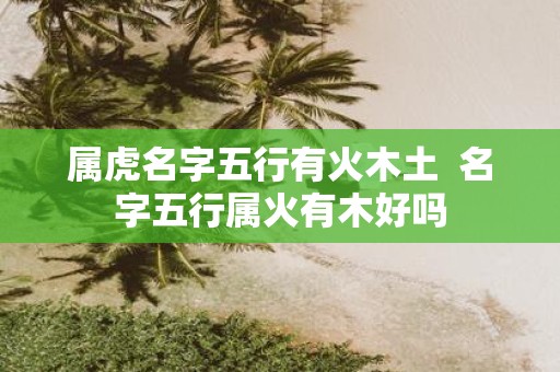 属虎名字五行有火木土 名字五行属火有木好吗