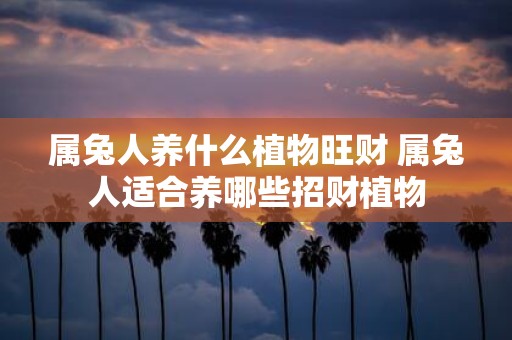 属兔人养什么植物旺财 属兔人适合养哪些招财植物