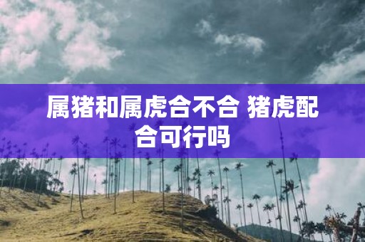 属猪和属虎合不合 猪虎配合可行吗