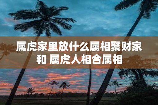属虎家里放什么属相聚财家和 属虎人相合属相