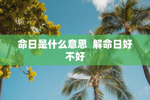 命日是什么意思 解命日好不好
