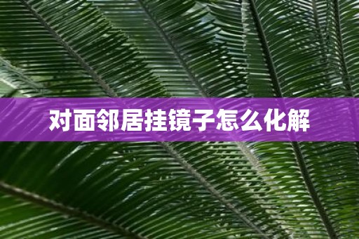 对面邻居挂镜子怎么化解