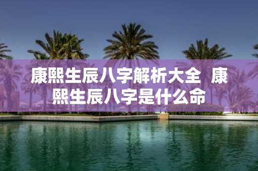 康熙生辰八字解析大全 康熙生辰八字是什么命