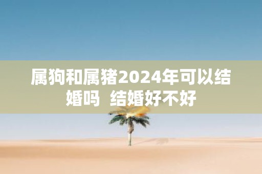 属狗和属猪2025年可以结婚吗 结婚好不好