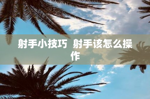 射手小技巧 射手该怎么操作