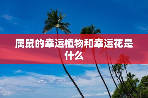 属鼠的幸运植物和幸运花是什么
