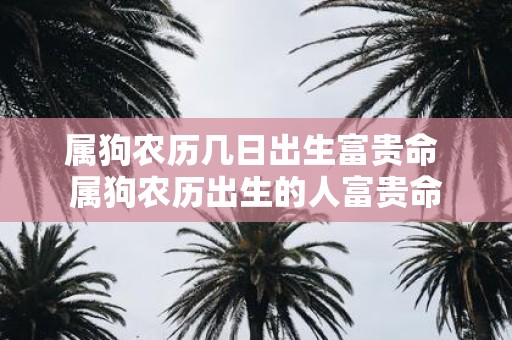 属狗农历几日出生富贵命 属狗农历出生的人富贵命