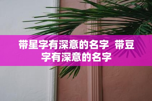带星字有深意的名字 带豆字有深意的名字