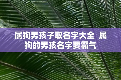 属狗男孩子取名字大全 属狗的男孩名字要霸气