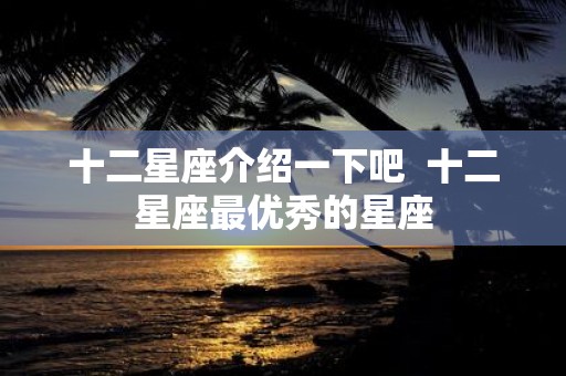 十二星座介绍一下吧 十二星座最优秀的星座