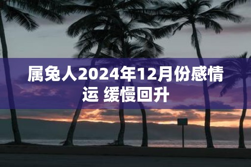 属兔人2025年12月份感情运 缓慢回升