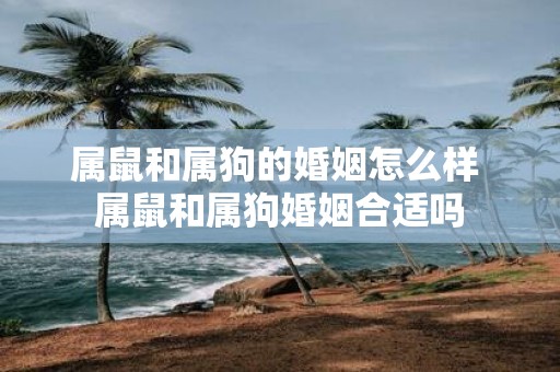 属鼠和属狗的婚姻怎么样 属鼠和属狗婚姻合适吗