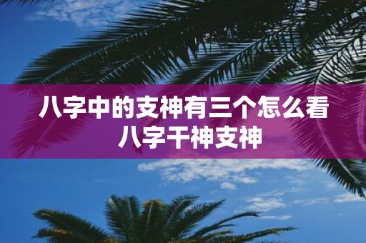 八字中的支神有三个怎么看 八字干神支神