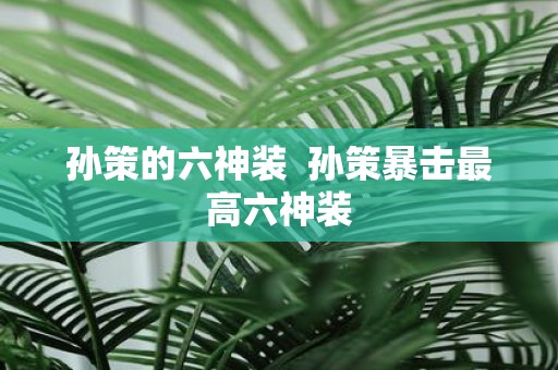 孙策的六神装 孙策暴击最高六神装