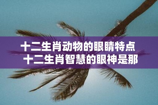 十二生肖动物的眼睛特点 十二生肖智慧的眼神是那个