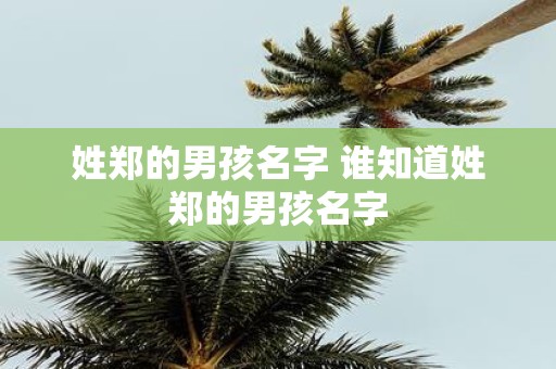 姓郑的男孩名字 谁知道姓郑的男孩名字