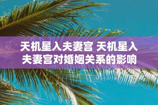 天机星入夫妻宫 天机星入夫妻宫对婚姻关系的影响