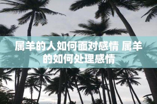 属羊的人如何面对感情 属羊的如何处理感情