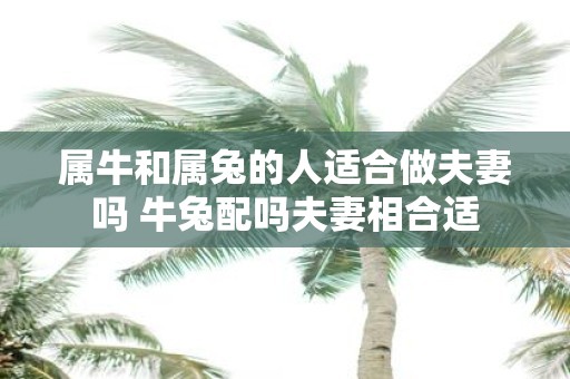 属牛和属兔的人适合做夫妻吗 牛兔配吗夫妻相合适