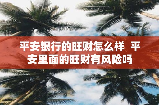 平安银行的旺财怎么样  平安里面的旺财有风险吗