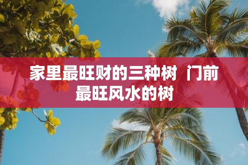 家里最旺财的三种树 门前最旺风水的树