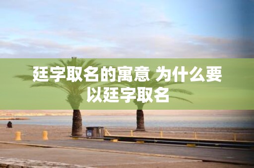 廷字取名的寓意 为什么要以廷字取名