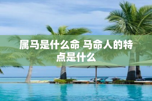 属马是什么命 马命人的特点是什么