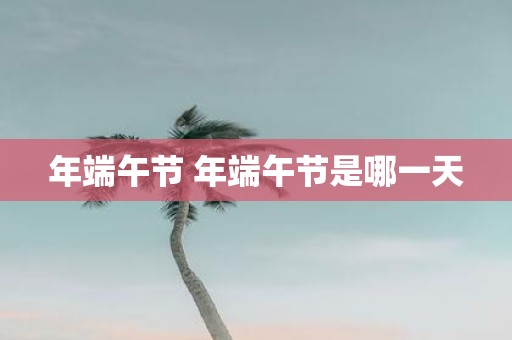 年端午节 年端午节是哪一天