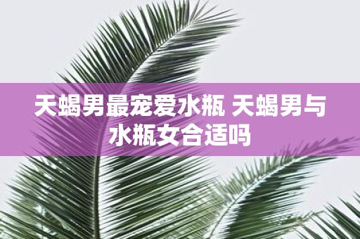 天蝎男最宠爱水瓶 天蝎男与水瓶女合适吗