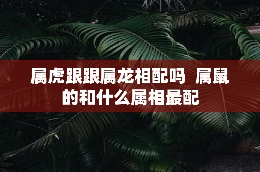 属虎跟跟属龙相配吗 属鼠的和什么属相最配