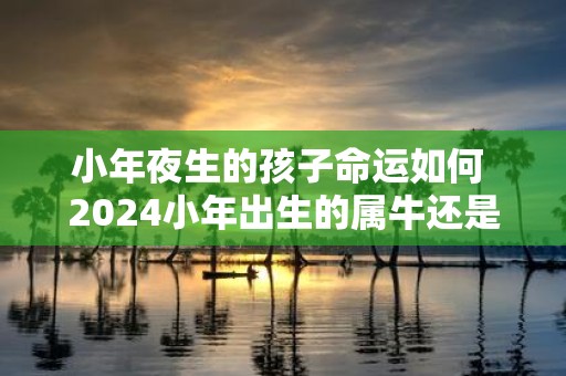 小年夜生的孩子命运如何 2025小年出生的属牛还是虎