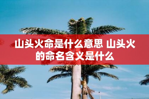 山头火命是什么意思 山头火的命名含义是什么