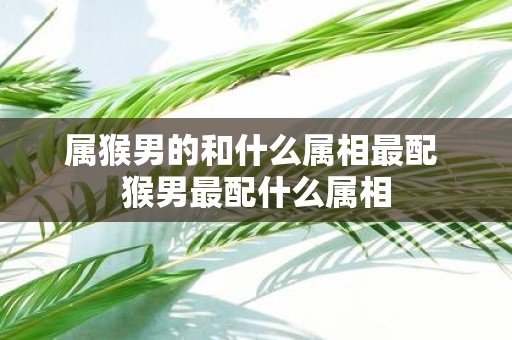 属猴男的和什么属相最配 猴男最配什么属相