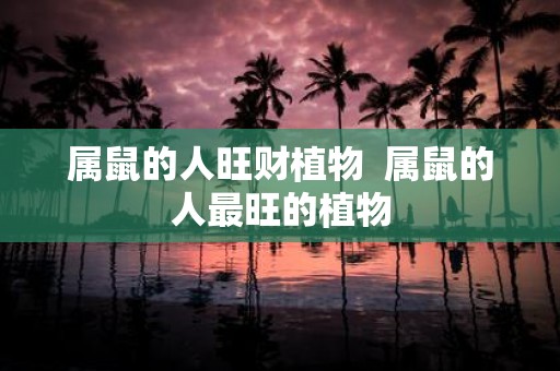 属鼠的人旺财植物 属鼠的人最旺的植物