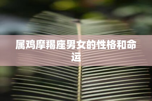 属鸡摩羯座男女的性格和命运