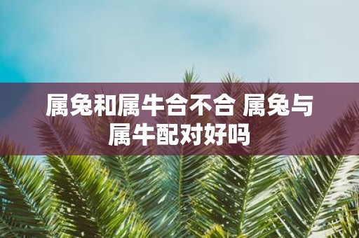 属兔和属牛合不合 属兔与属牛配对好吗