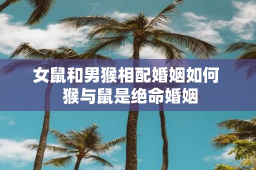 女鼠和男猴相配婚姻如何 猴与鼠是绝命婚姻