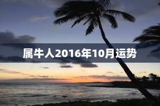 属牛人2016年10月运势