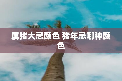 属猪大忌颜色 猪年忌哪种颜色