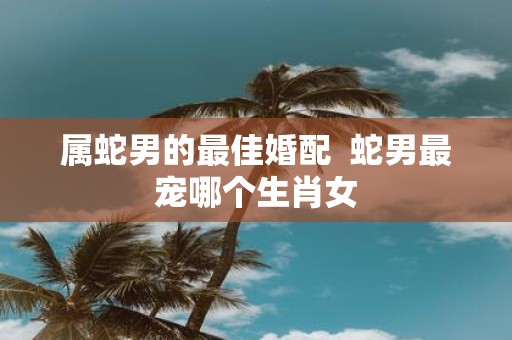 属蛇男的最佳婚配 蛇男最宠哪个生肖女