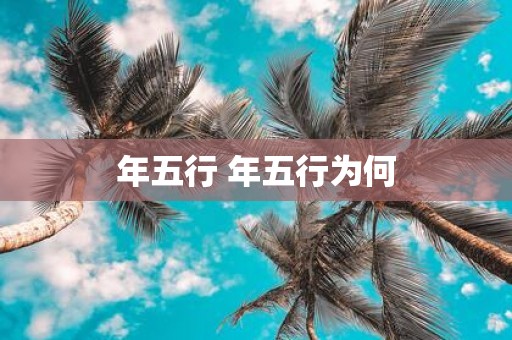年五行 年五行为何