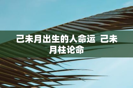 己未月出生的人命运 己未月柱论命