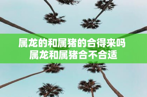 属龙的和属猪的合得来吗 属龙和属猪合不合适