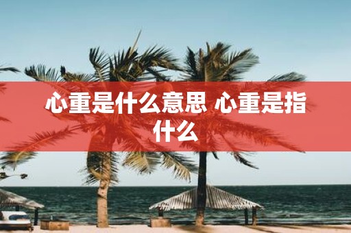 心重是什么意思 心重是指什么