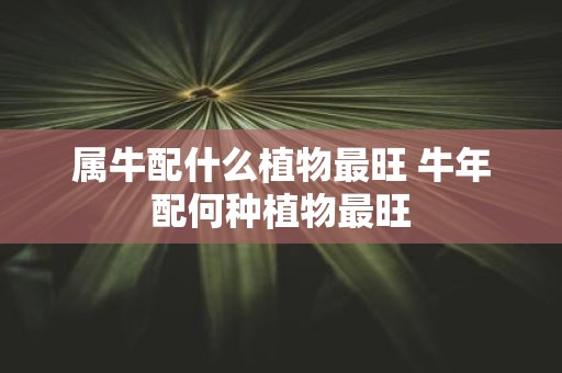 属牛配什么植物最旺 牛年配何种植物最旺