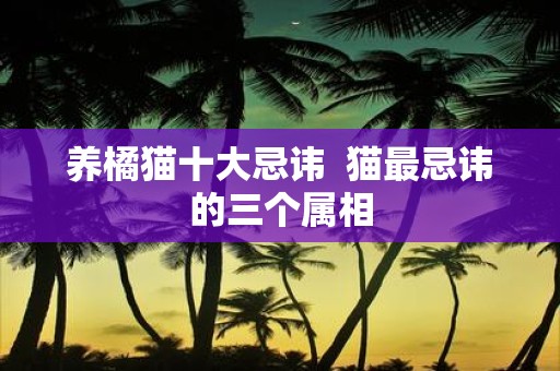 养橘猫十大忌讳 猫最忌讳的三个属相